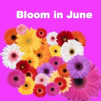 Bloom In June Confidence Coaching Session